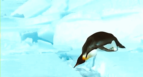 pingouin fail